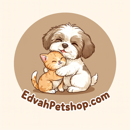 My Store